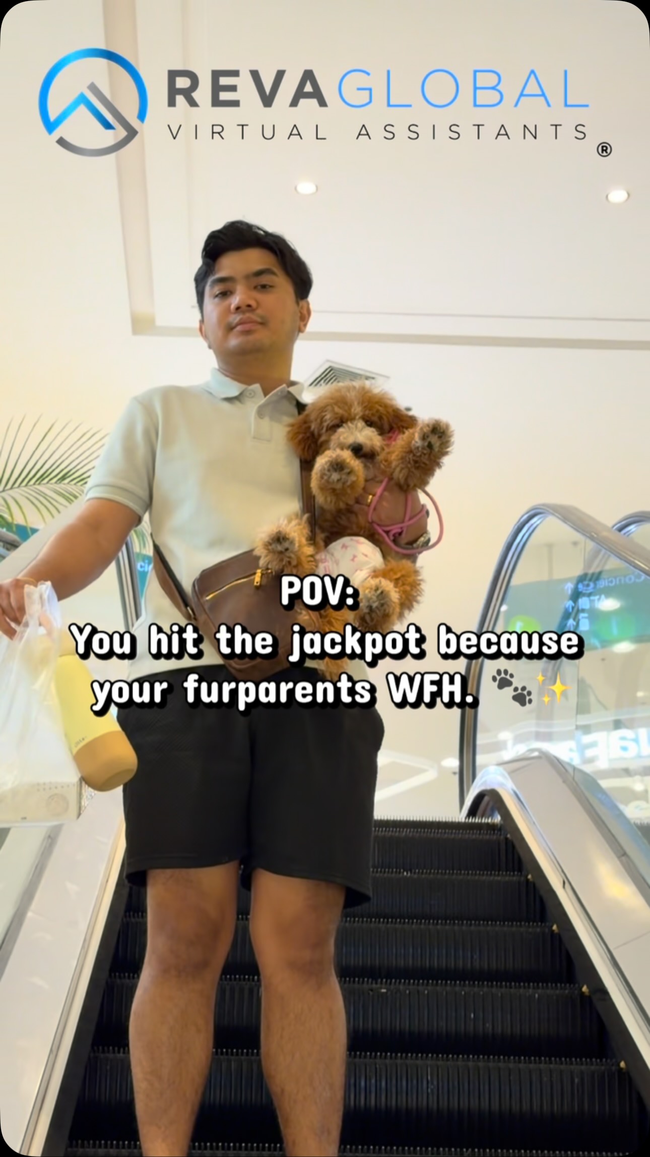 Your furry companions won’t complain about having you home more often. Enjoy the perks of…