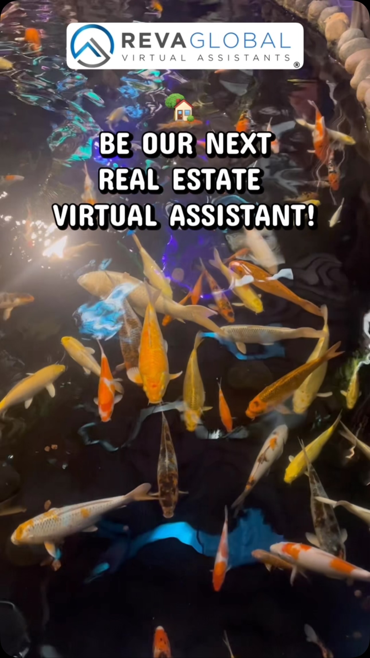 No VA experience? No worries. Your Real Estate VA journey can start here! Join REVA…
